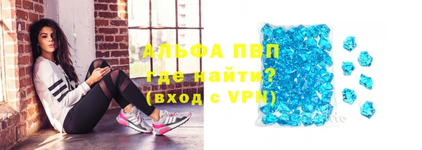 молекула духа Вяземский
