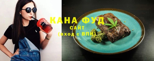 молекула духа Вяземский