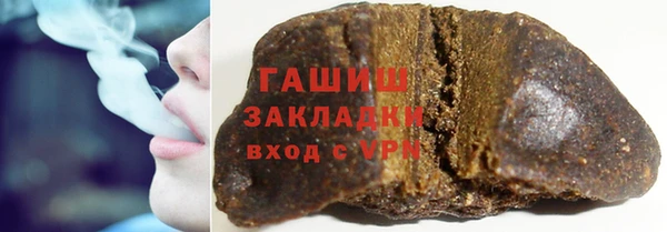молекула духа Вяземский