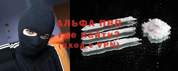 молекула духа Вяземский