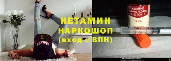молекула духа Вяземский