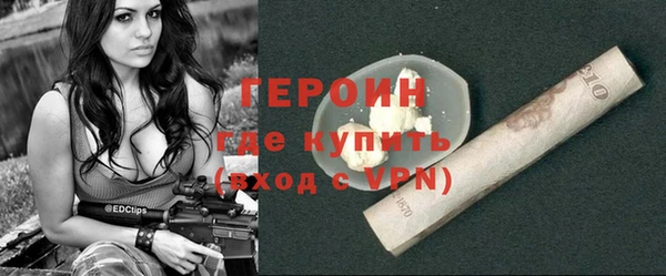 молекула духа Вяземский