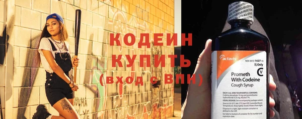 молекула духа Вяземский