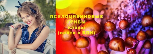 молекула духа Вяземский