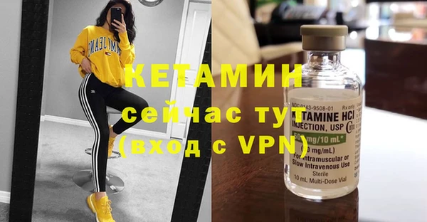молекула духа Вяземский